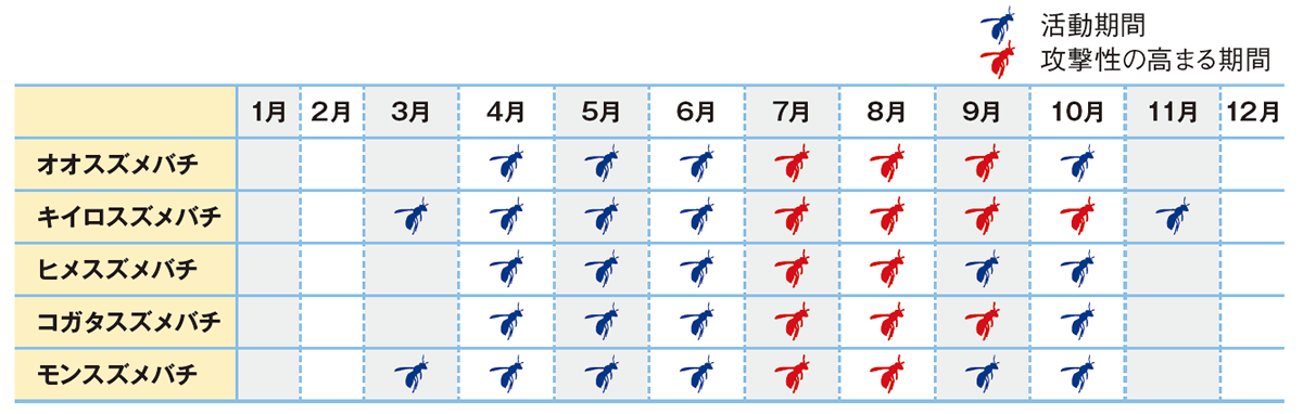 スズメバチの活動時期