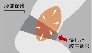 医学博士考案の腹圧理論(ラグビーボール説)