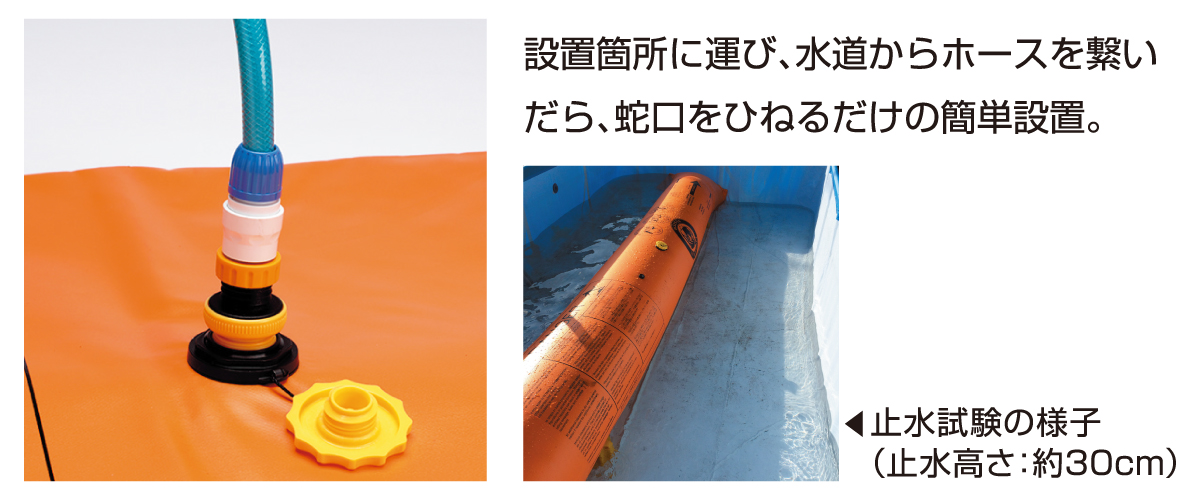 福島和可菜